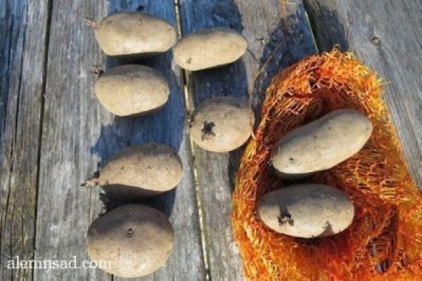 Украли аккаунт на кракене